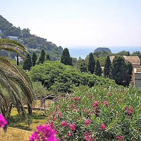 Sina Flora Ξενοδοχείο 4*