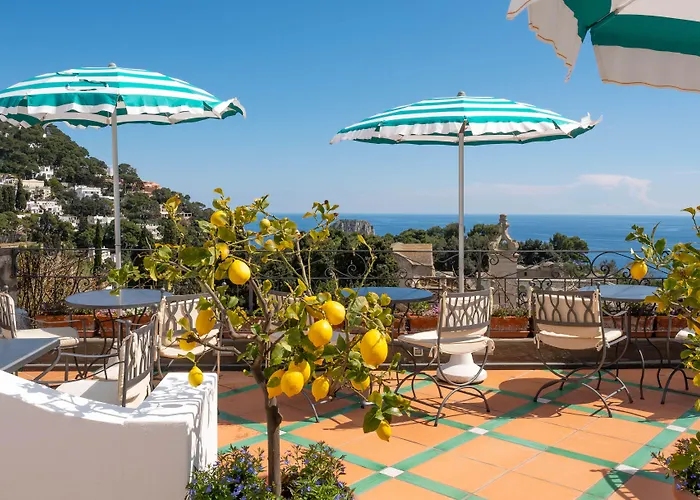 Sina Flora 카프리