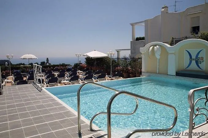 Sina Flora 카프리