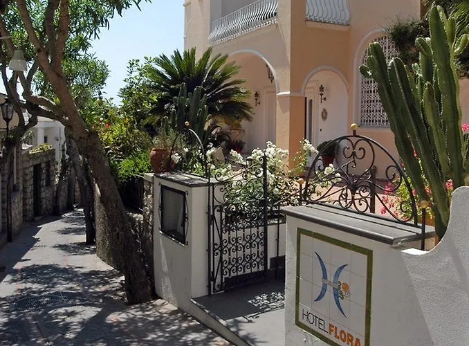 Sina Flora 카프리